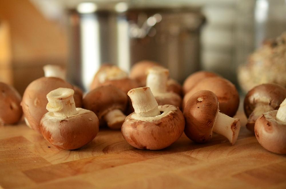 Suszarka do grzybów – jak wybrać najlepszą?
